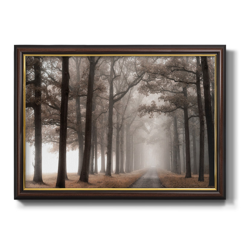 Millwood Pines Misty Road Framed On Canvas Print | Wayfair